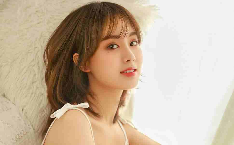 泛目录站群软件